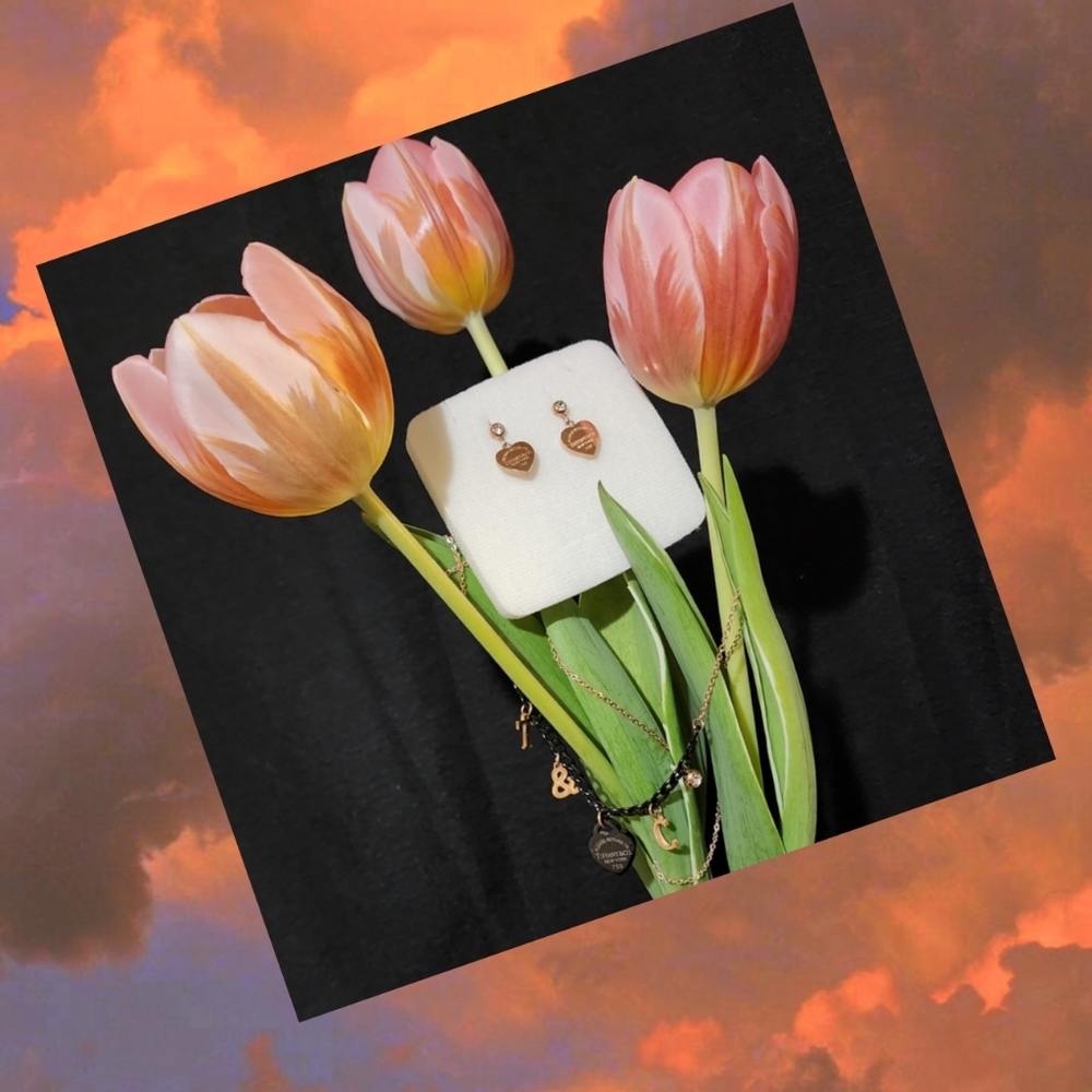 Inoxidable Stainless Steel Necklace and Earrin.